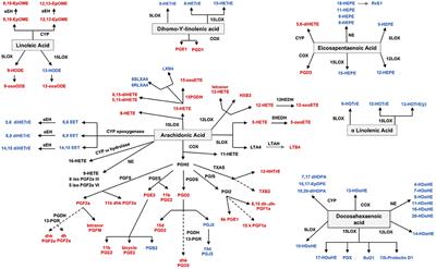 Lipidomic Profiling in Synovial Tissue